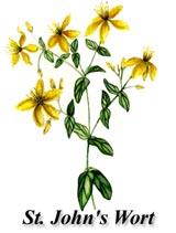 St. John's Wort