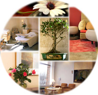 collage of interior healing environment photos