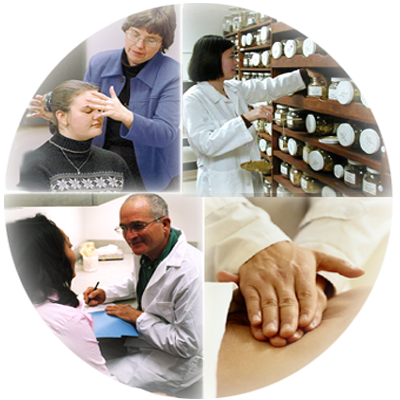 collage of holistic providers