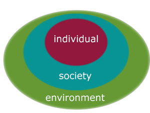three layed circles, labeled environment, society, and invididual