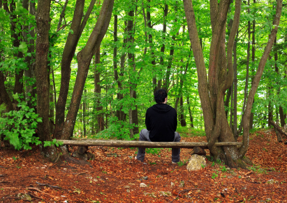 Man sitting alone on bench in peaceful forest.