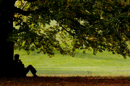 man%20sitting%20beside%20tree.jpg