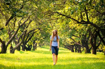 person walking through a grove of trees