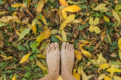Two bare feet standing in dry yellow leaves