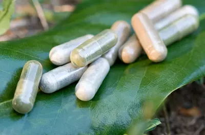 herbal medicine pills