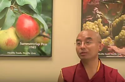 Rinpoche speaking into the camera