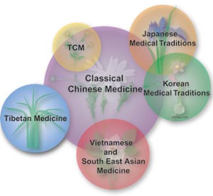 Systems of Oriental Medicine