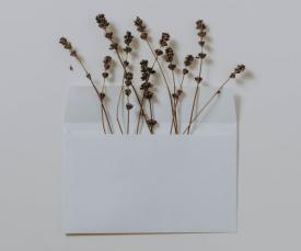 white envelope with flowers poking out