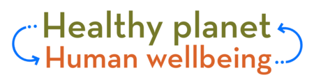 Graphic with the words Healthy Planet and Human Wellbeing marked by arrows to show their mutual relationship