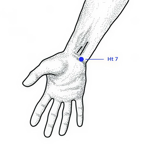 Diagram of Ht 7 at the wrist.