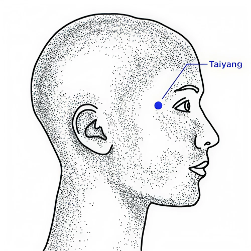 Diagram of Taiyang at the side of the eye.