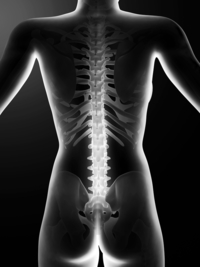 ultrasound of human body with glowing spine