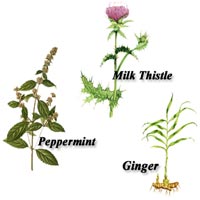 Collage of herbs