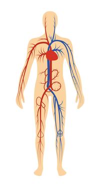 Reflexology Chart Headache