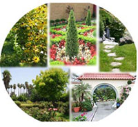 healing gardens collage
