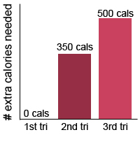 chart showing extra calories needed during pregnancy