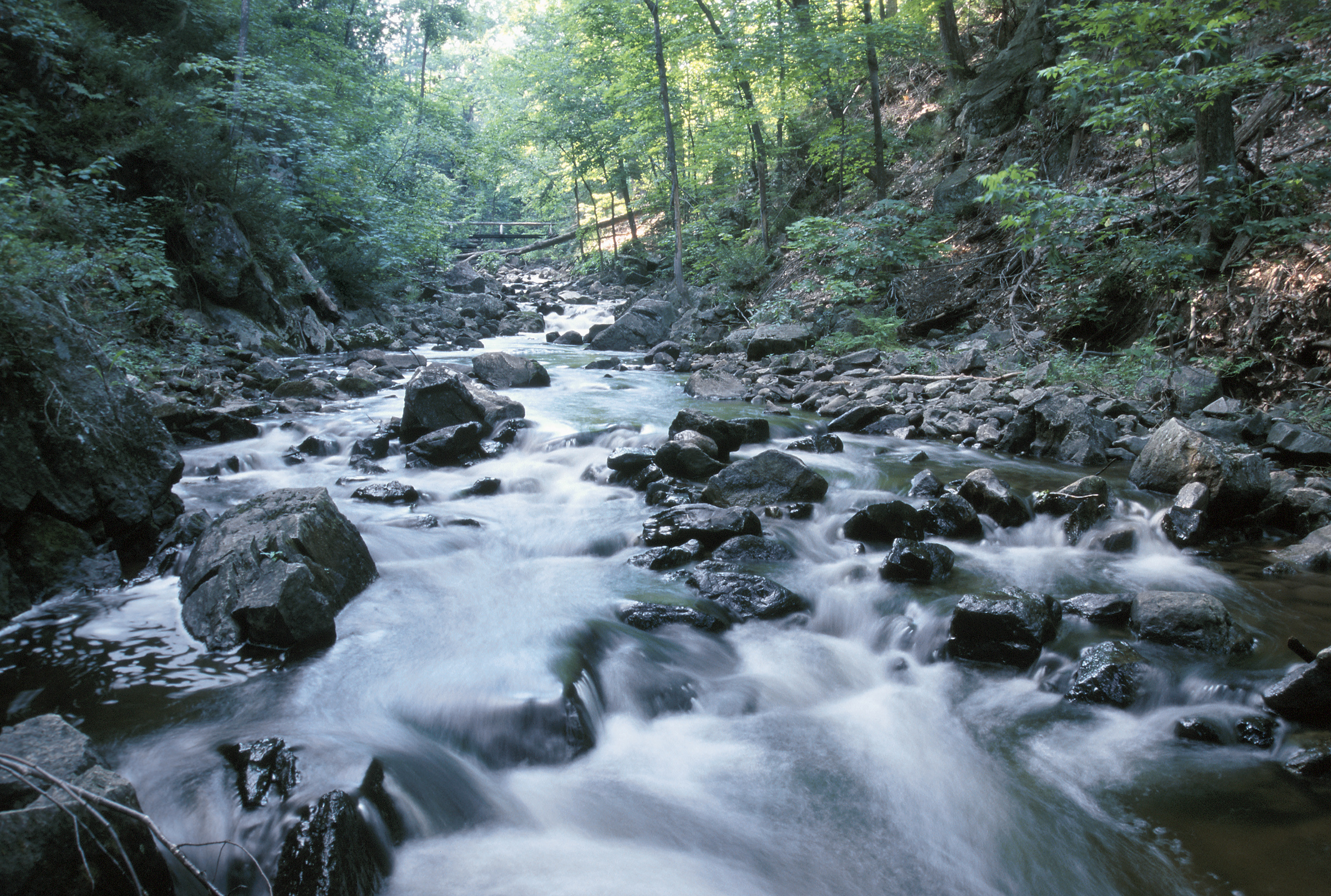 A rocky creek with current.
