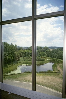 view from hospital window of nature