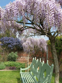 garden in hospital