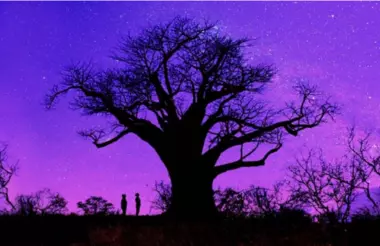 darktree