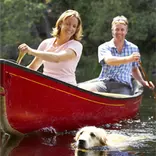 two people paddling a canoe while a dog swims with them