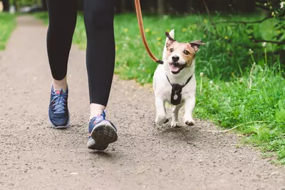 Woman jogging with dog