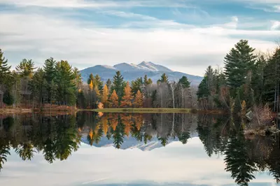 trees reflecting on a lake