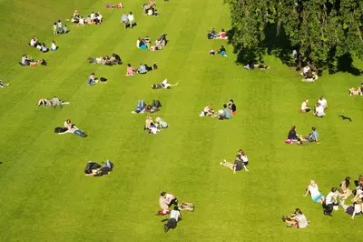 park with many people picnicking and enjoying the sun