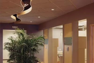 a hallway with a large plant and ambient lighting
