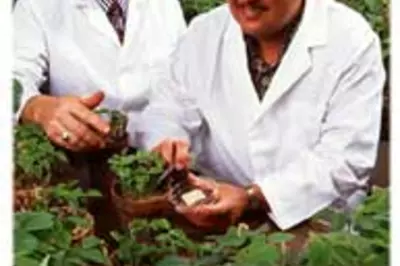 2 men looking at leaves