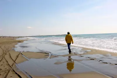 figure walking on calm sunny beach