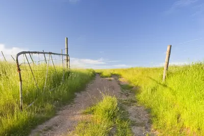 Winding dirt road in peaceful country setting.