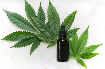 CBD tincture in a bottle.