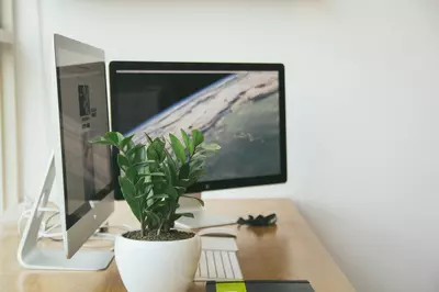 plant on a desk