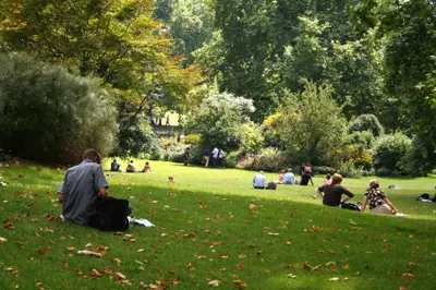 people relaxing in a green public park