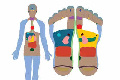 image of different reflexology points