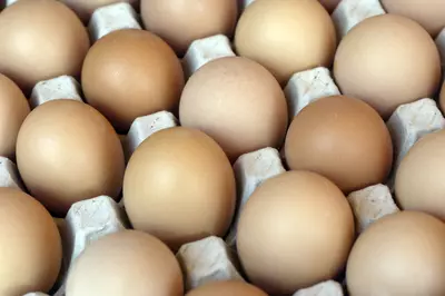 image of eggs in a carton