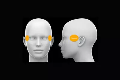 Diagram showing the temporal region beside the eyes.
