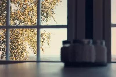 A set of windows, looking out over a garden