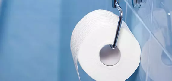 Toilet roll holder mounted to the wall.