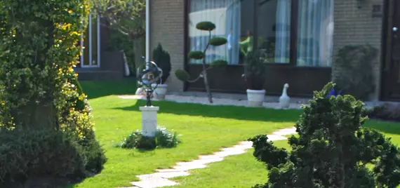 pleasant front yard and front of a house