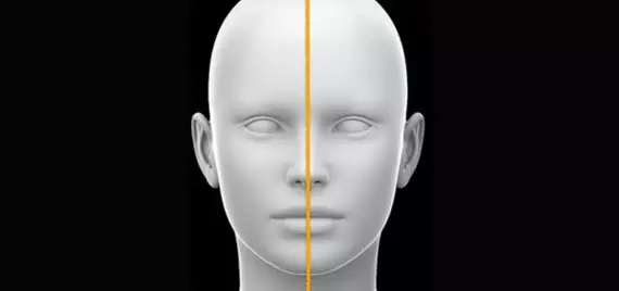 Diagram showing the two sides of the head, separated into left and right at the nose.