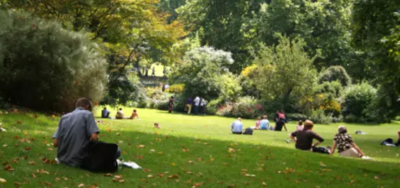 people relaxing in a green public park
