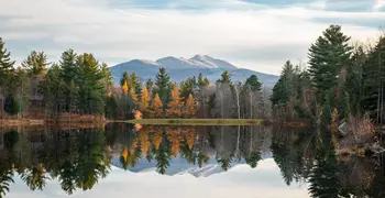 trees reflecting on a lake