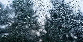 raindrops on a window