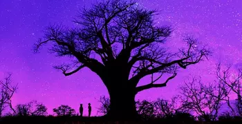 a big tree in front of a purple/blue sunset