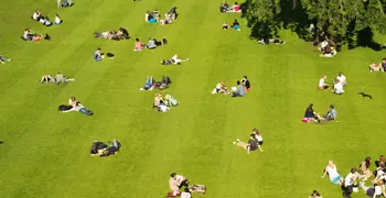 park with many people picnicking and enjoying the sun