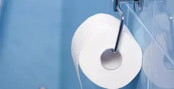 Toilet roll holder mounted to the wall.