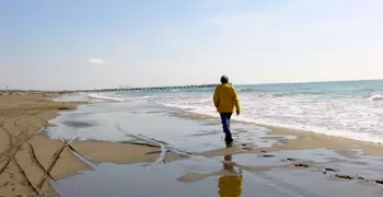 figure walking on calm sunny beach