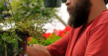 man with beard pruning plants